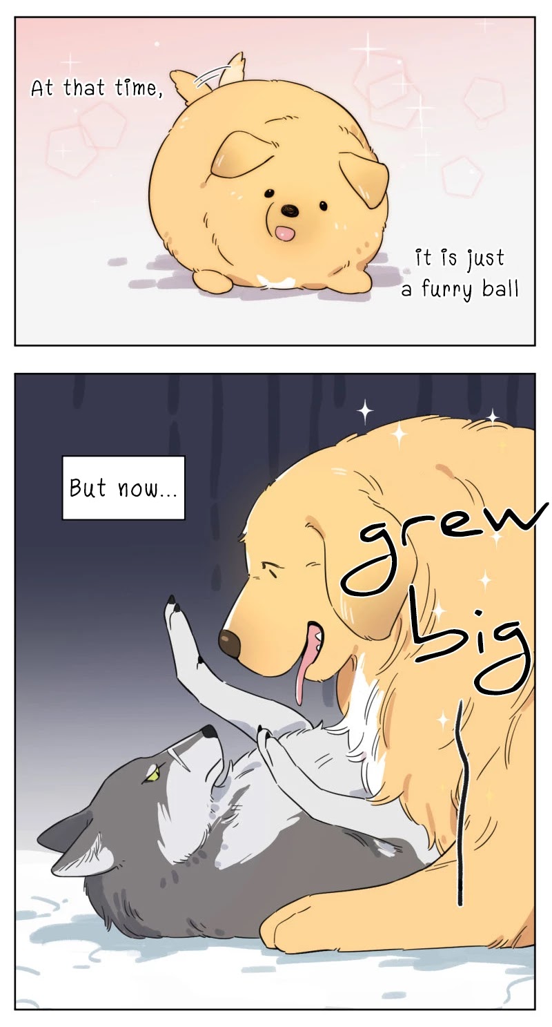 The Wolf That Picked Something Up Chapter 2 page 3 - Chapter 2
