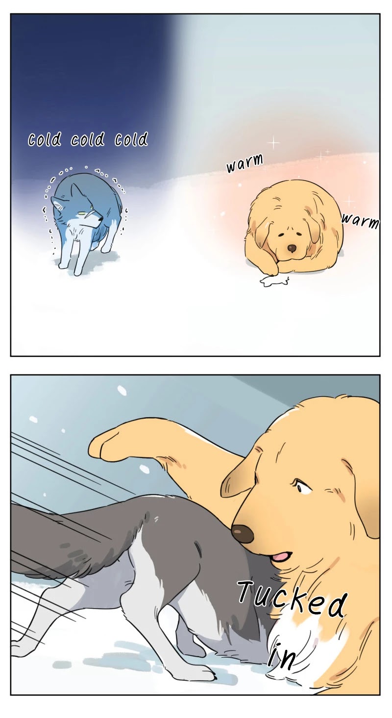 The Wolf That Picked Something Up Chapter 2 page 6 - Chapter 2