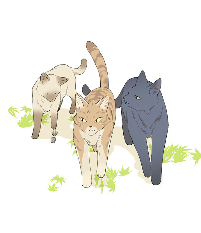The Wolf That Picked Something Up Chapter 34 page 2 - Chapter 34: If they were feline