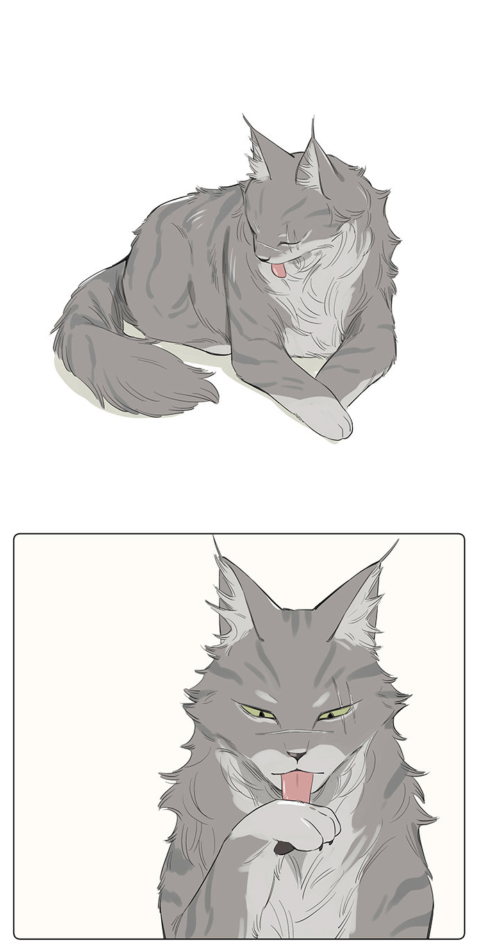 The Wolf That Picked Something Up Chapter 34 page 3 - Chapter 34: If they were feline