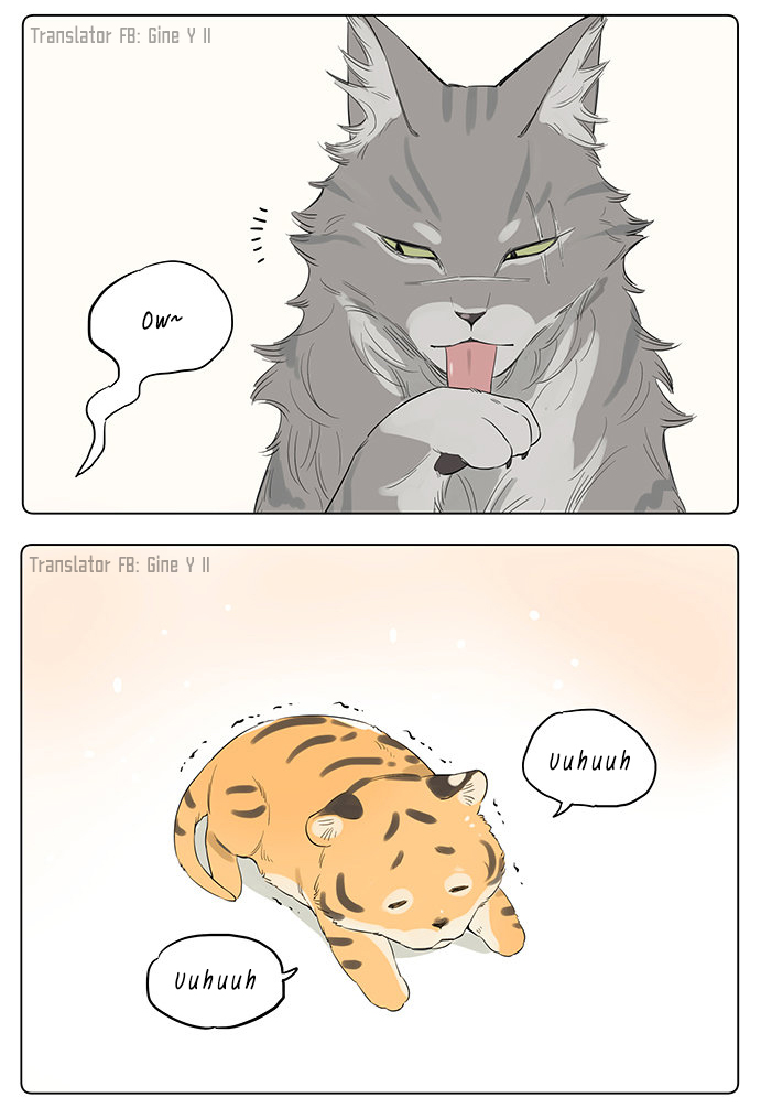 The Wolf That Picked Something Up Chapter 34 page 4 - Chapter 34: If they were feline