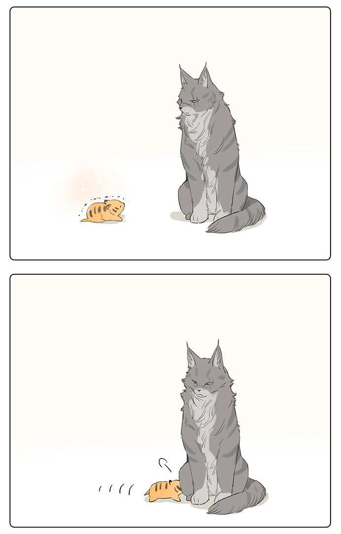 The Wolf That Picked Something Up Chapter 34 page 5 - Chapter 34: If they were feline