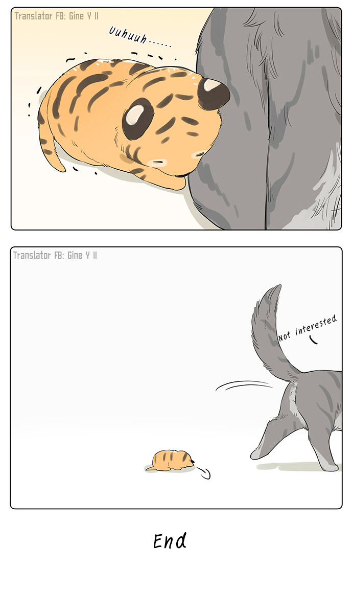 The Wolf That Picked Something Up Chapter 34 page 6 - Chapter 34: If they were feline