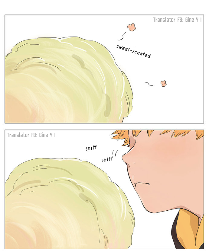 The Wolf That Picked Something Up Chapter 40 page 1 - Chapter 40: Cotton candy