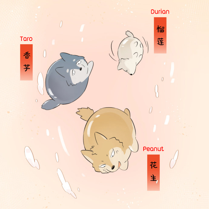 The Wolf That Picked Something Up Chapter 66.5 page 5 - Chapter 66.5: Lantern Festival's tangyuan