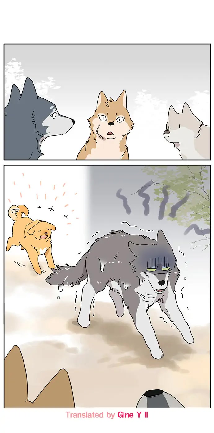 The Wolf That Picked Something Up Chapter 80 page 10 - Chapter 80