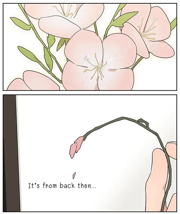 The Wolf That Picked Something Up Chapter 82 page 21 - Chapter 82: Secrets