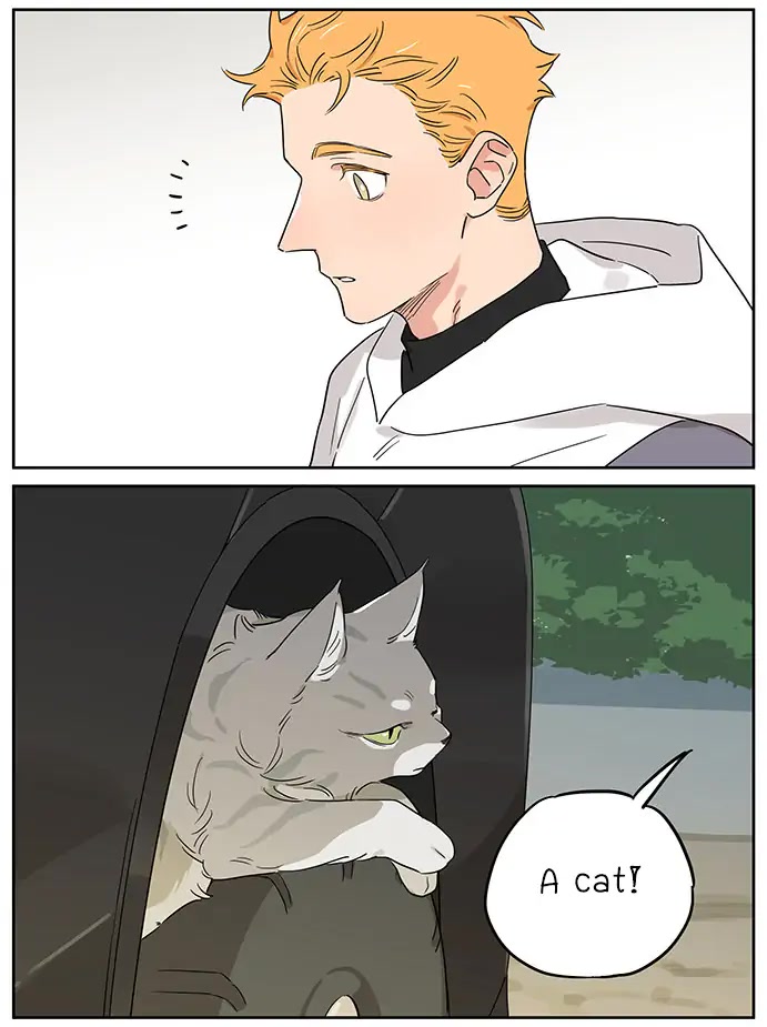 The Wolf That Picked Something Up Chapter 90 page 3 - Chapter 90: Petting a Cat
