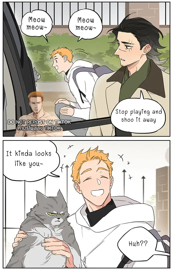 The Wolf That Picked Something Up Chapter 90 page 4 - Chapter 90: Petting a Cat