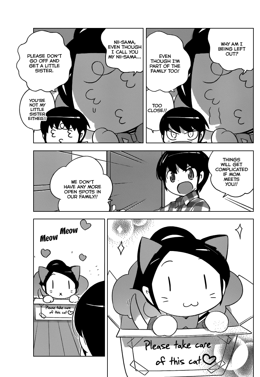 The World God Only Knows Chapter 202 page 12 - Chapter 202: Summer Sister