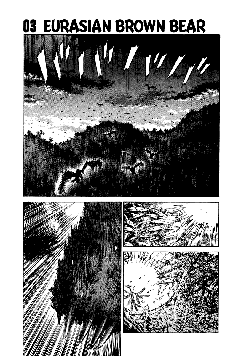 The World is Mine Chapter 3 page 1 - Chapter 3: Eurasian Brown Bear