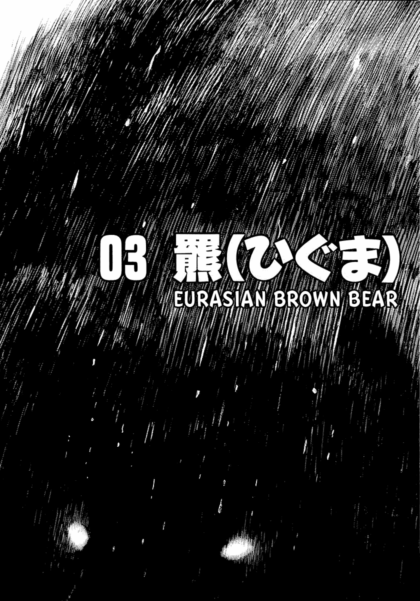 The World is Mine Chapter 3 page 2 - Chapter 3: Eurasian Brown Bear