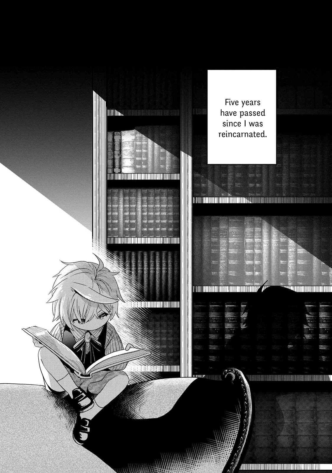 The World's Best Assassin, Reincarnated in a Different World as an Aristocrat Chapter 2.1 page 1 - Chapter 2.1 - 2.2