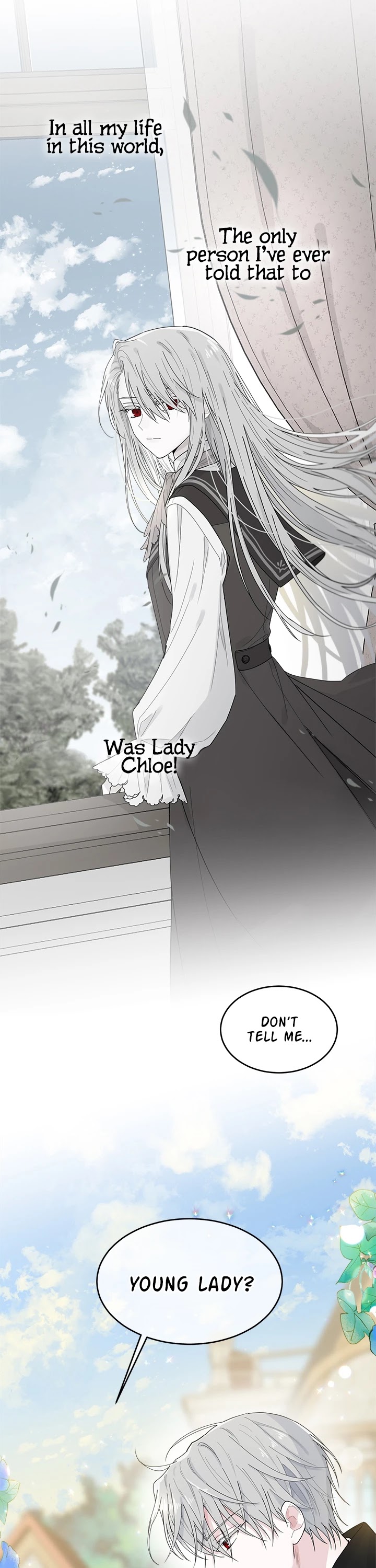 The Young Lady I Served Became a Young Master Chapter 1 page 17 - Chapter 1