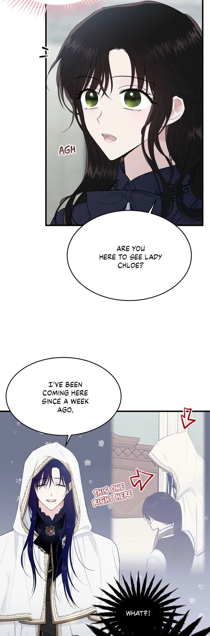 The Young Lady I Served Became a Young Master Chapter 37 page 5 - Chapter 37