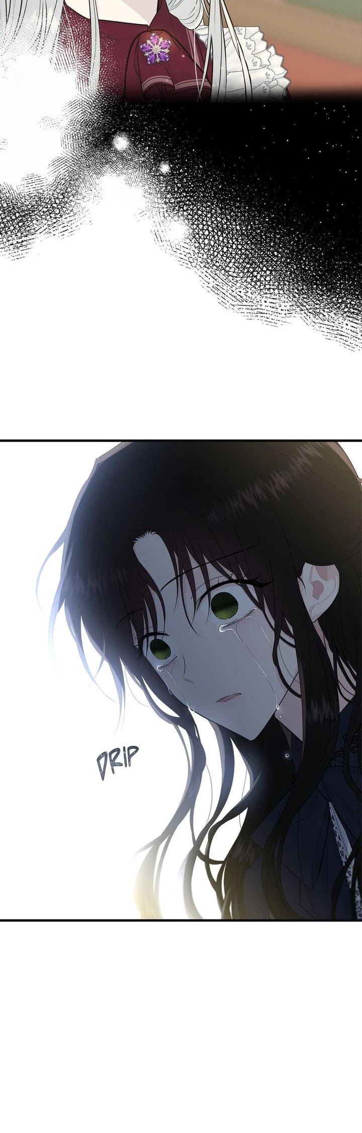 The Young Lady I Served Became a Young Master Chapter 38 page 11 - Chapter 38