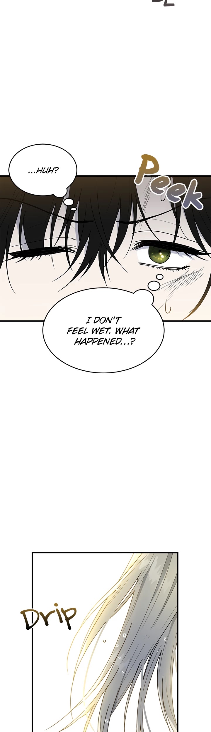 The Young Lady I Served Became a Young Master Chapter 7 page 30 - Chapter 7