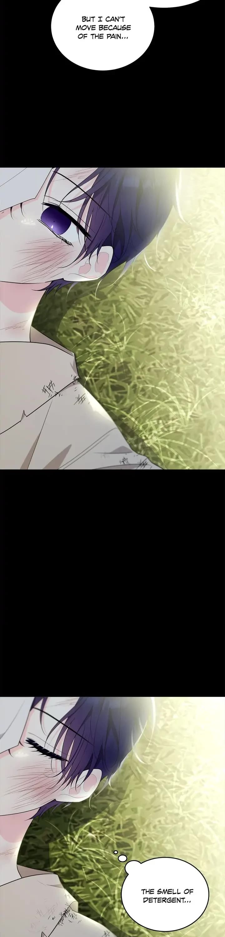 The Young Lady I Served Became a Young Master Chapter 95 page 38 - Chapter 95