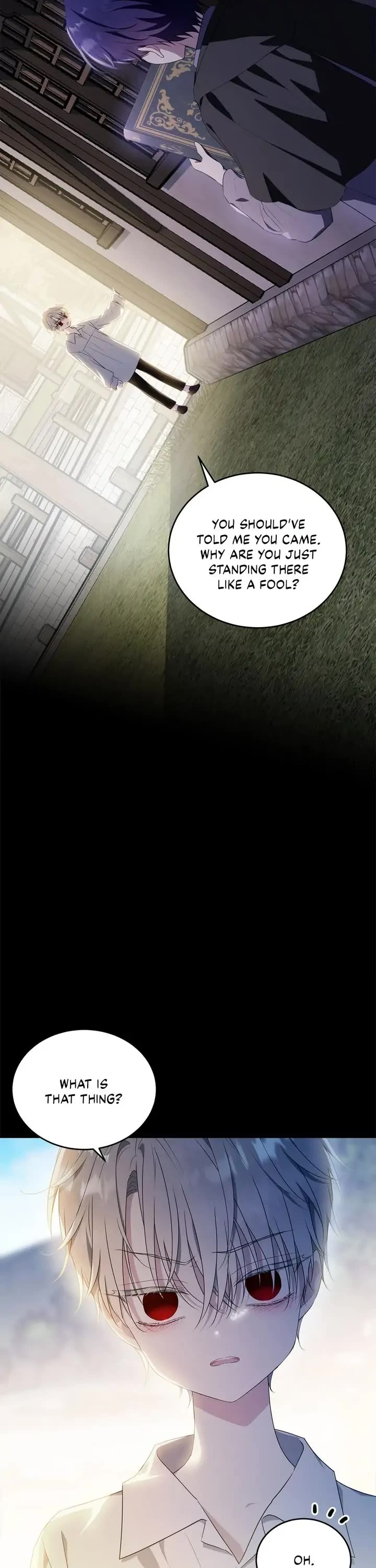 The Young Lady I Served Became a Young Master Chapter 96 page 27 - Chapter 96