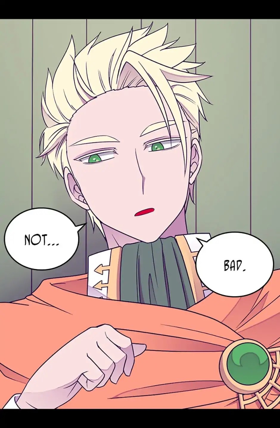 They Say I Was Born a King's Daughter Chapter 117 page 37 - Chapter 117: Adoption