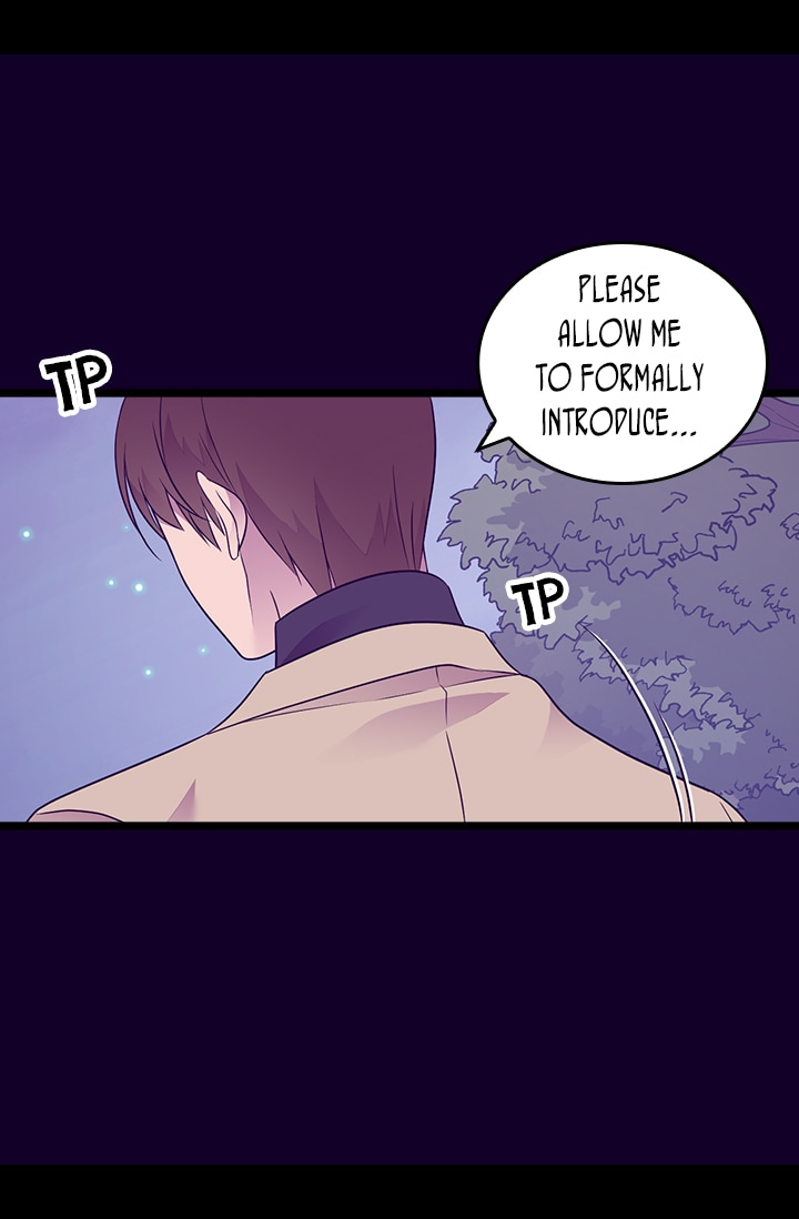 They Say I Was Born a King's Daughter Chapter 172 page 5 - Chapter 172: Secret Weapon