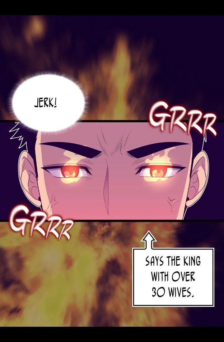 They Say I Was Born a King's Daughter Chapter 188 page 16 - Chapter 188: A Prince or a Thief?