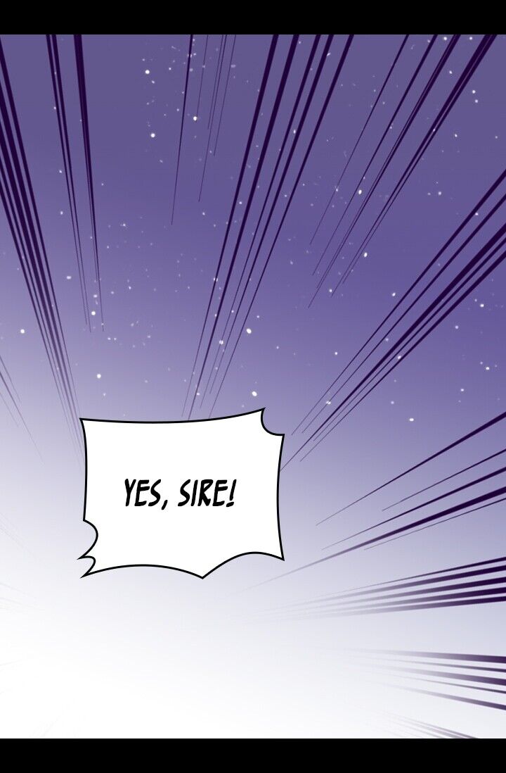 They Say I Was Born a King's Daughter Chapter 219 page 39 - Chapter 219: Reinforcements