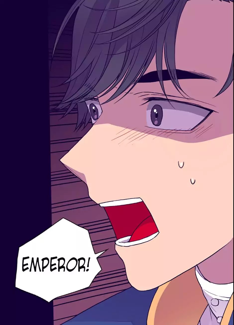 They Say I Was Born a King's Daughter Chapter 33 page 17 - Chapter 33: Meeting the Emperor