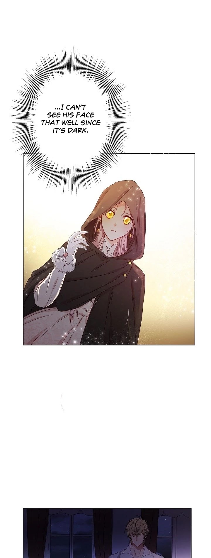 This Is an Obvious Fraudulent Marriage Chapter 1 page 13 - Chapter 1