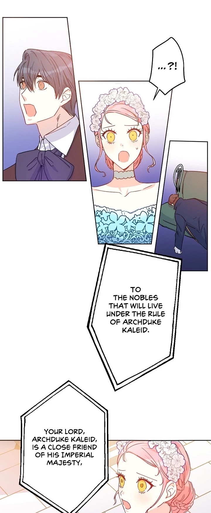 This Is an Obvious Fraudulent Marriage Chapter 15 page 29 - Chapter 15