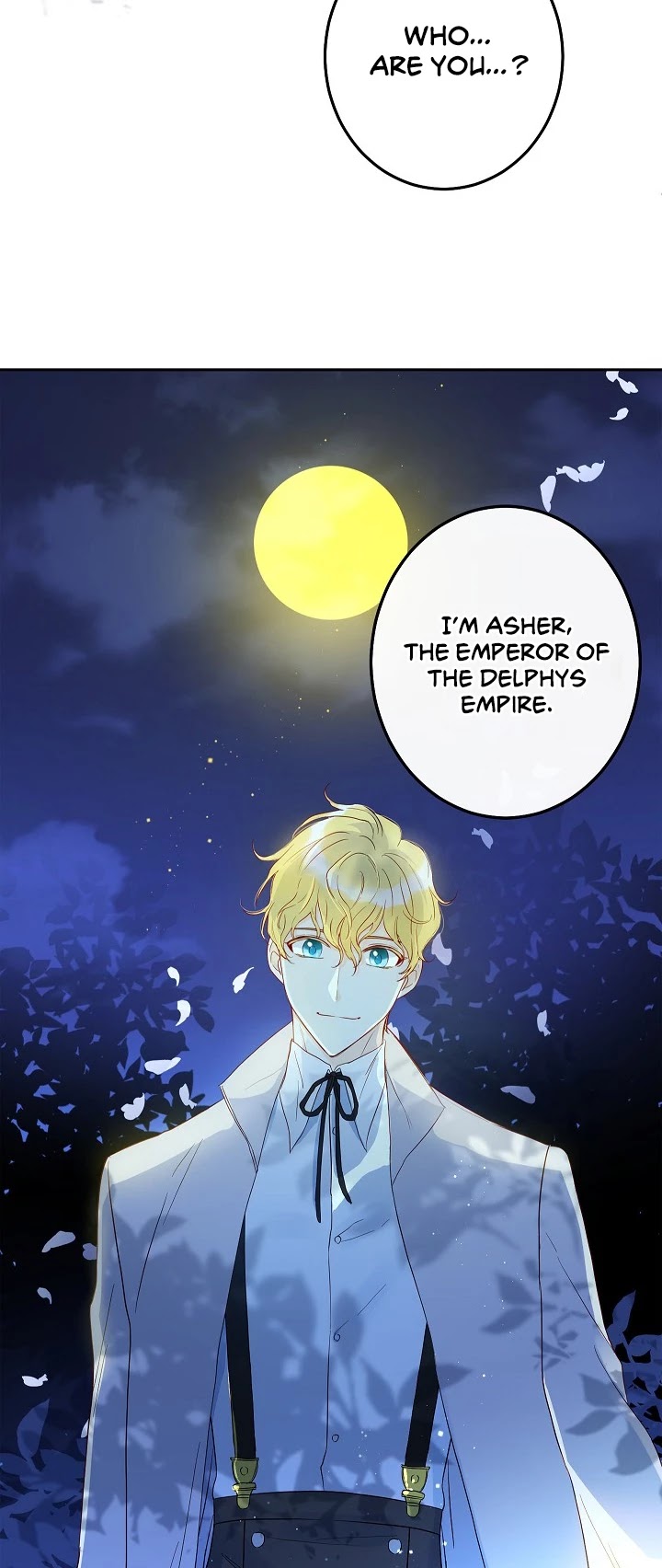 This Is an Obvious Fraudulent Marriage Chapter 26 page 34 - Chapter 26