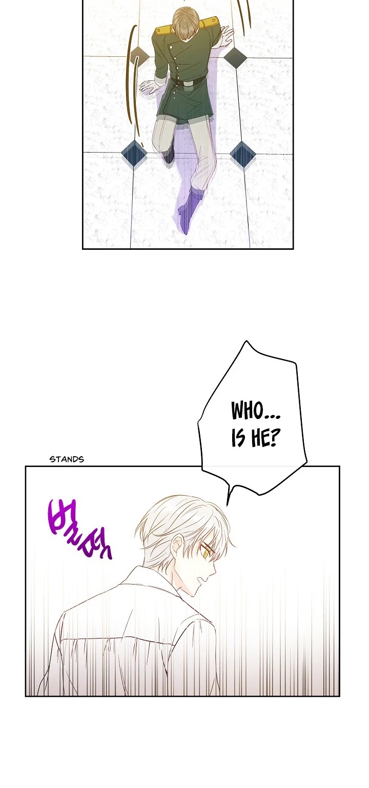 This Is an Obvious Fraudulent Marriage Chapter 27 page 12 - Chapter 27