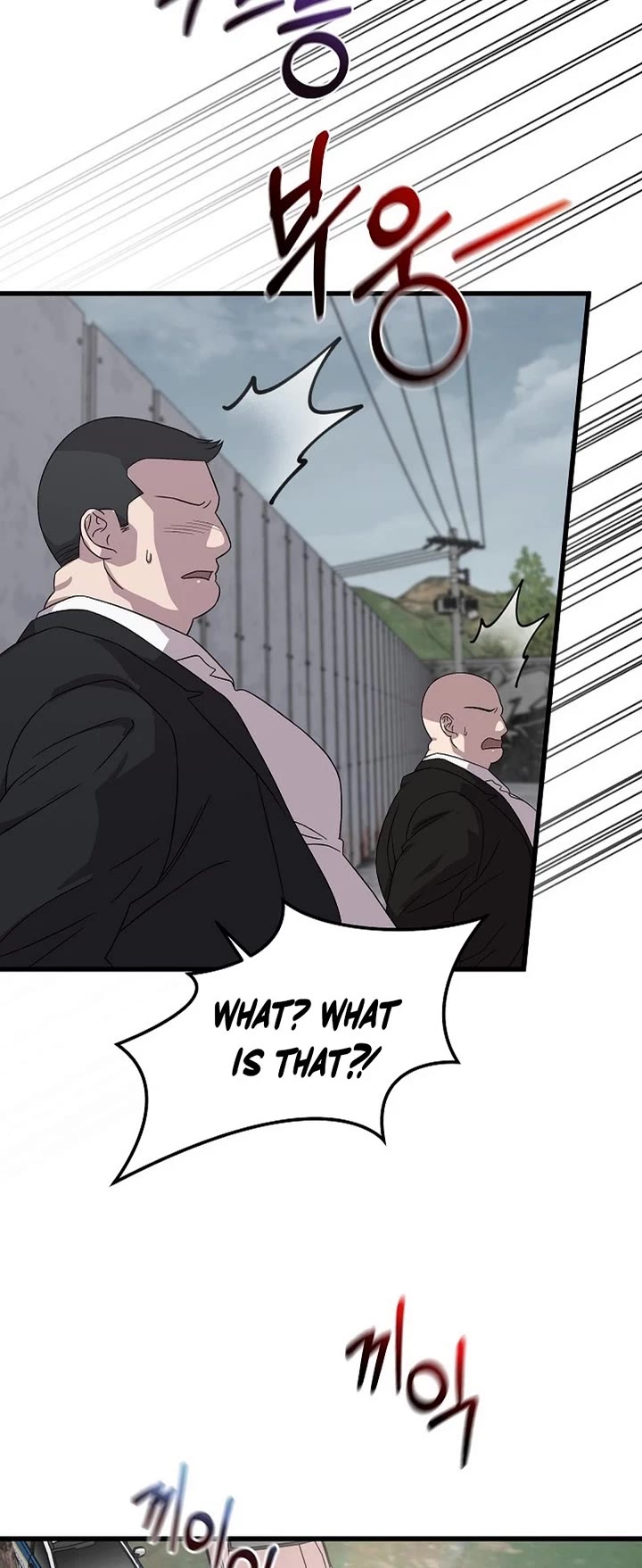 This is the Law Chapter 163 page 4 - Chapter 163