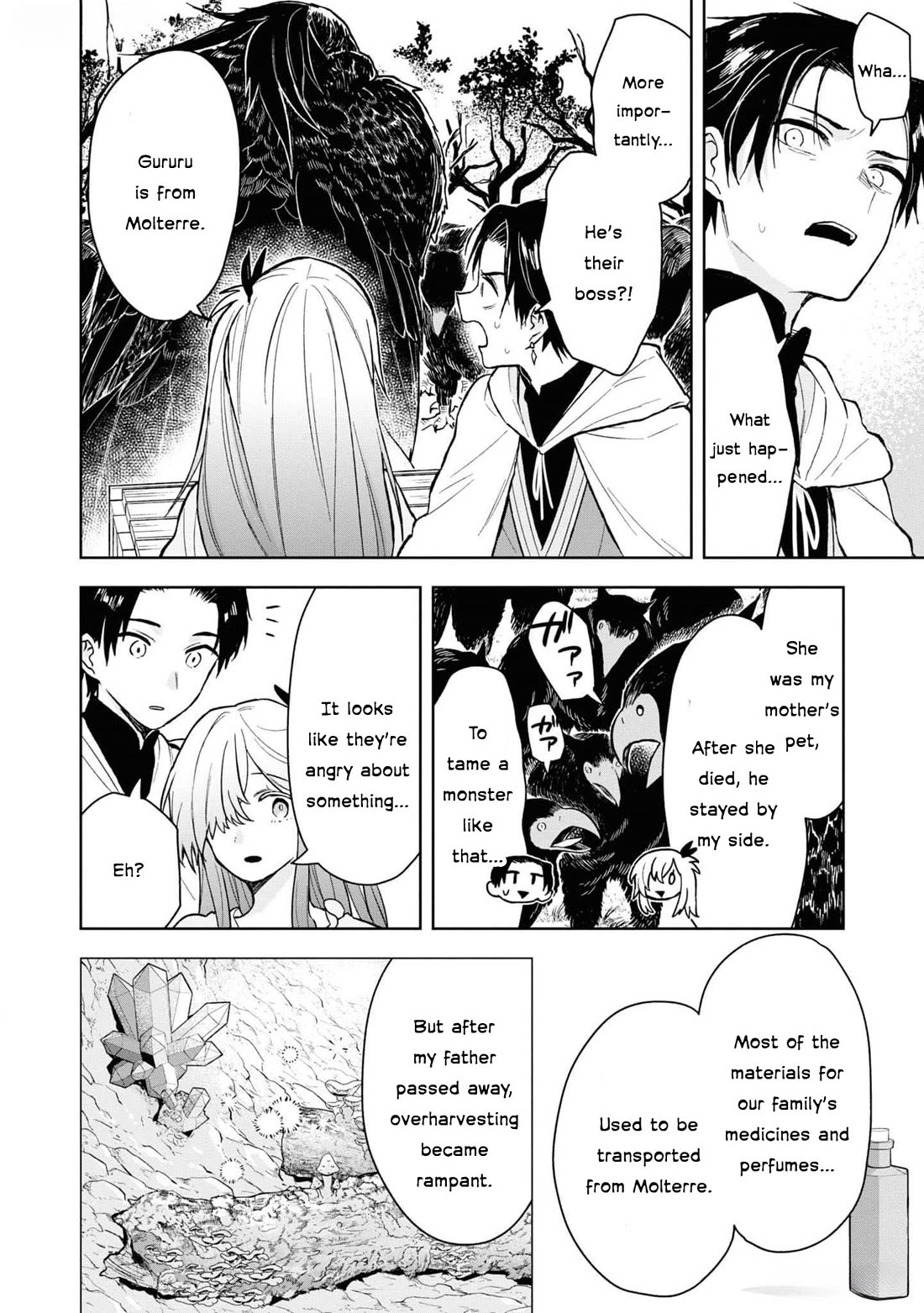 Though I May Be a Villainess, I'll Show You I Can Obtain Happiness! Chapter 11.5 page 35 - Vol.11 Chapter 5: Apparently, I was a National Treasure After Being Exiled!?