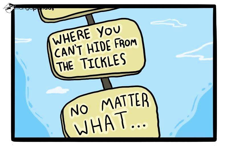 Tickle Town Chapter 28 page 5 - Chapter 28 : New Season