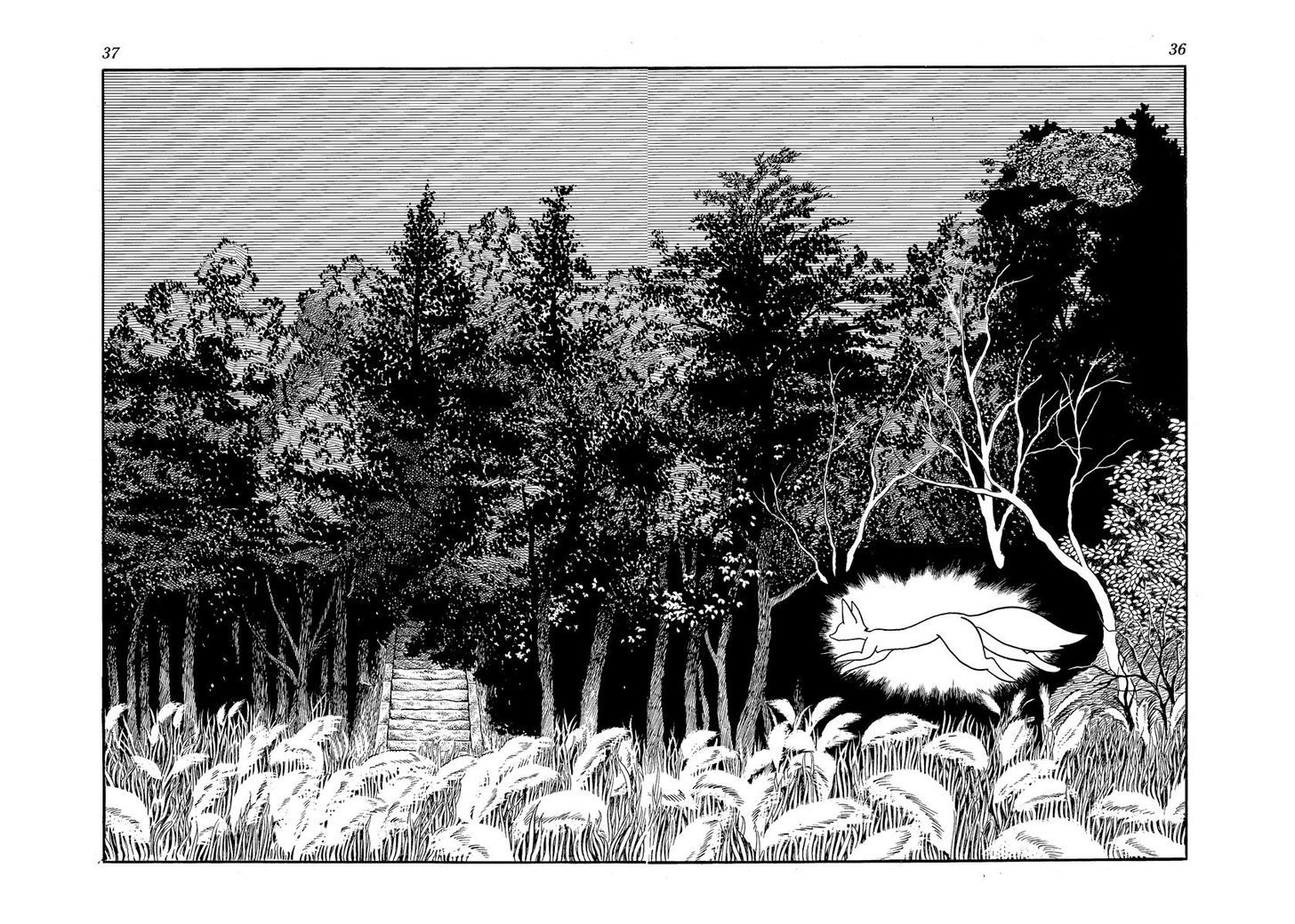 Tiger Books Chapter 2.1 page 16 - Vol.02 Chapter 1 : Akuemon