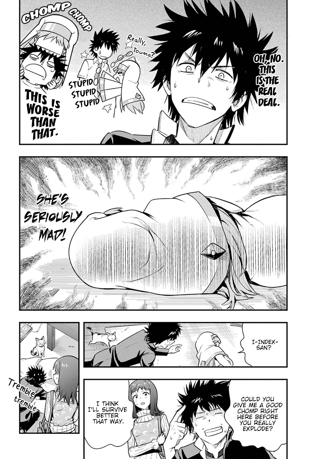 To Aru Majutsu no Kinsho Mokuroku Chapter 151 page 15 - Chapter 151: The Amakusa Live-In Bodyguard
