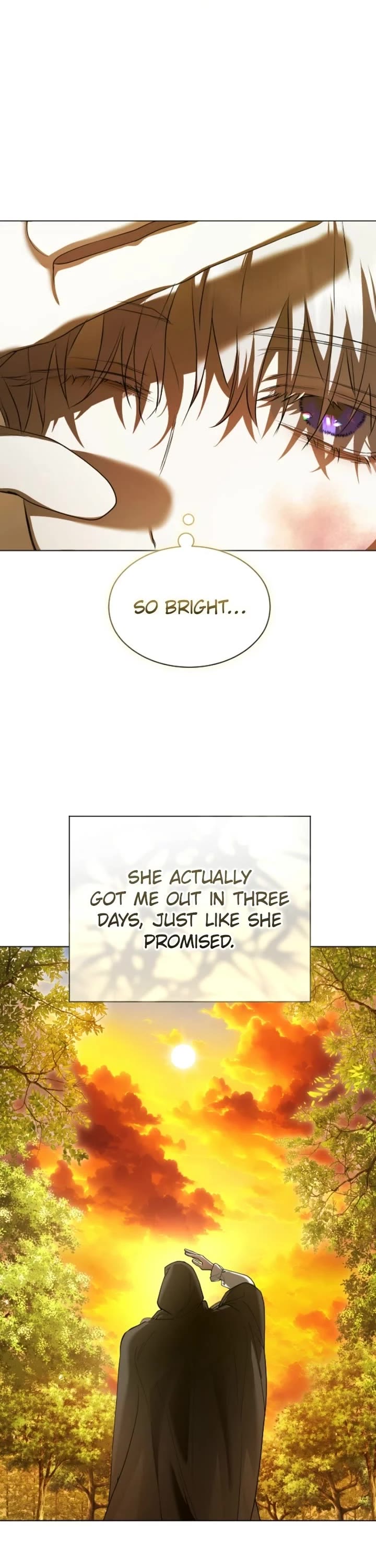 To Be You, Even Just For a Day Chapter 247 page 2 - Chapter 247: Ep. 245 - The Final Banquet