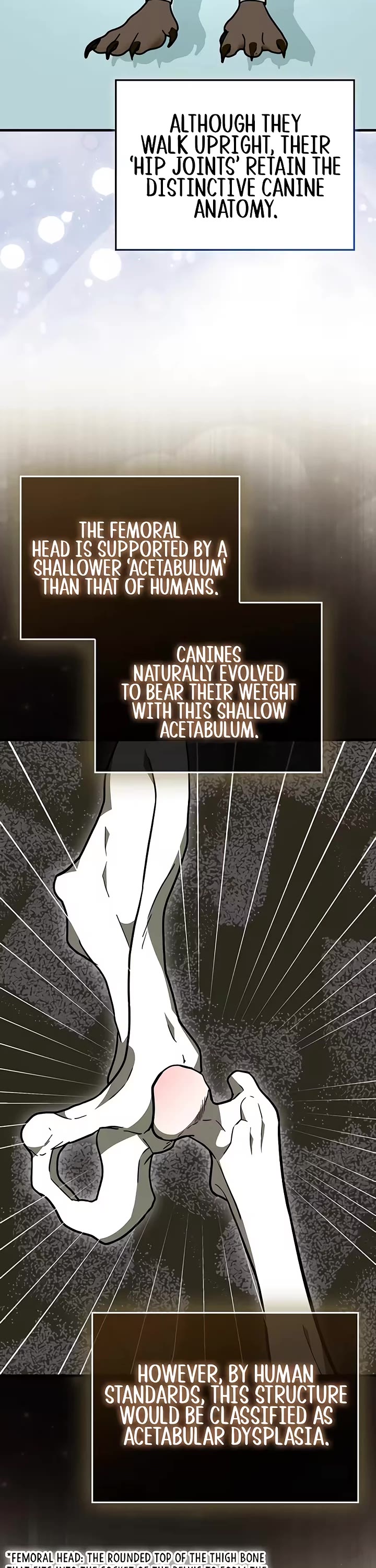 To Hell With Being A Saint, I’m A Doctor Chapter 168 page 4 - Chapter 168