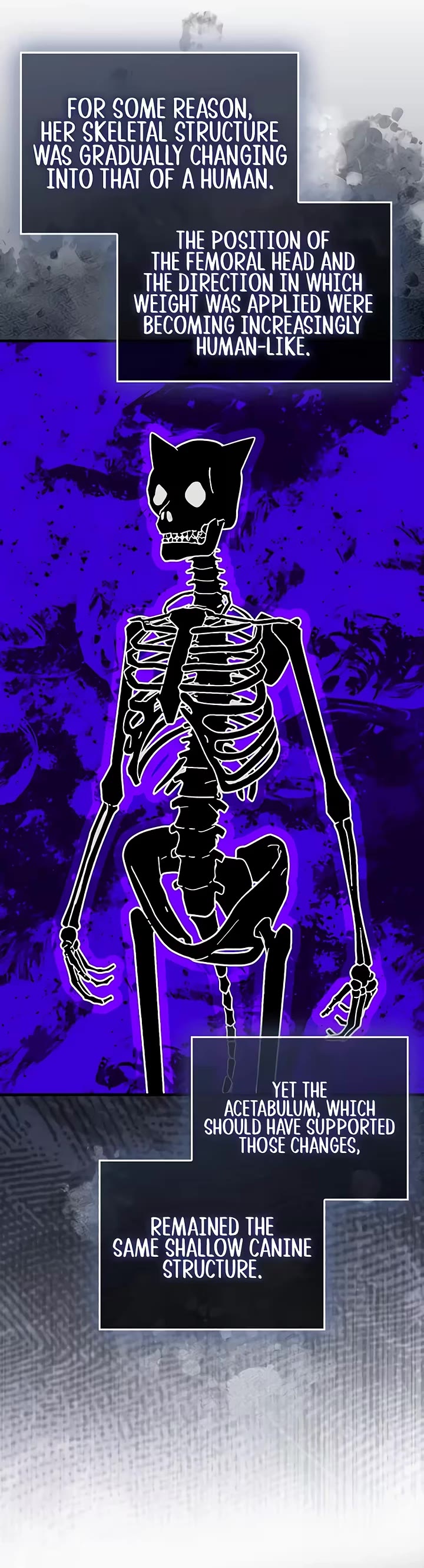 To Hell With Being A Saint, I’m A Doctor Chapter 168 page 6 - Chapter 168