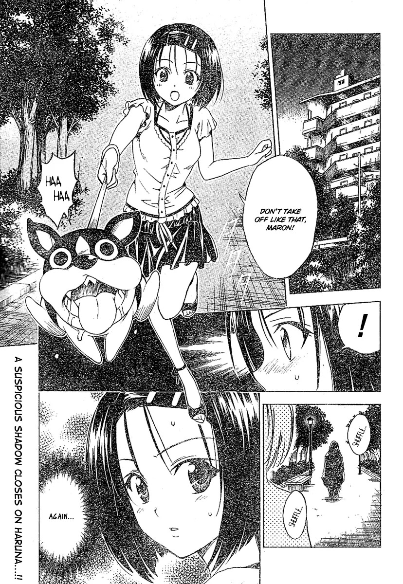 To-LOVE-Ru Chapter 105 page 2 - Chapter 105: Wonderful Love