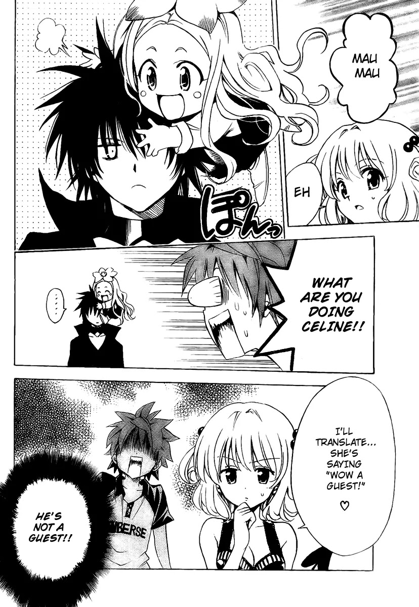 To-LOVE-Ru Chapter 150 page 18 - Chapter 150: The Determined Cat