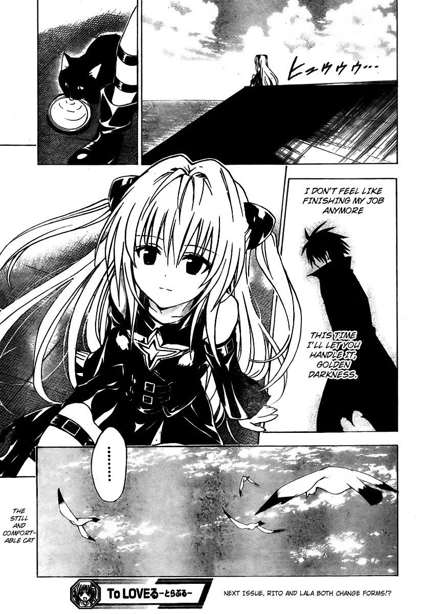 To-LOVE-Ru Chapter 151 page 19 - Chapter 151: Friends