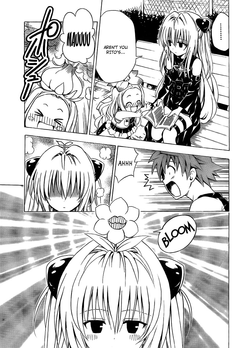 To-LOVE-Ru Chapter 158 page 3 - Chapter 158: The False Love?