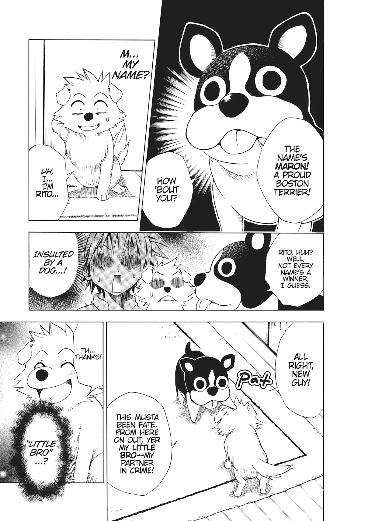 To-LOVE-Ru Chapter 44 page 10 - Chapter 44: A Doggone Good Day 2
