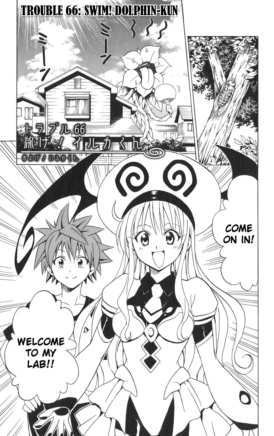 To-LOVE-Ru Chapter 66 page 2 - Chapter 66: Swim, Dolphin-kun!
