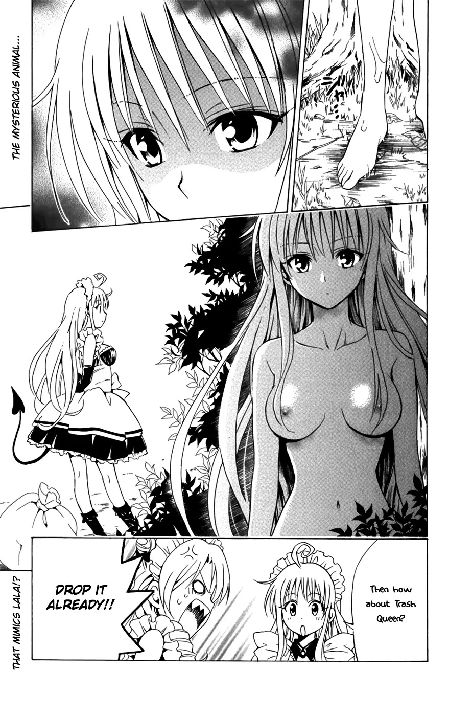 To-LOVE-Ru Chapter 90 page 20 - Chapter 90: Allow Us to Serve You