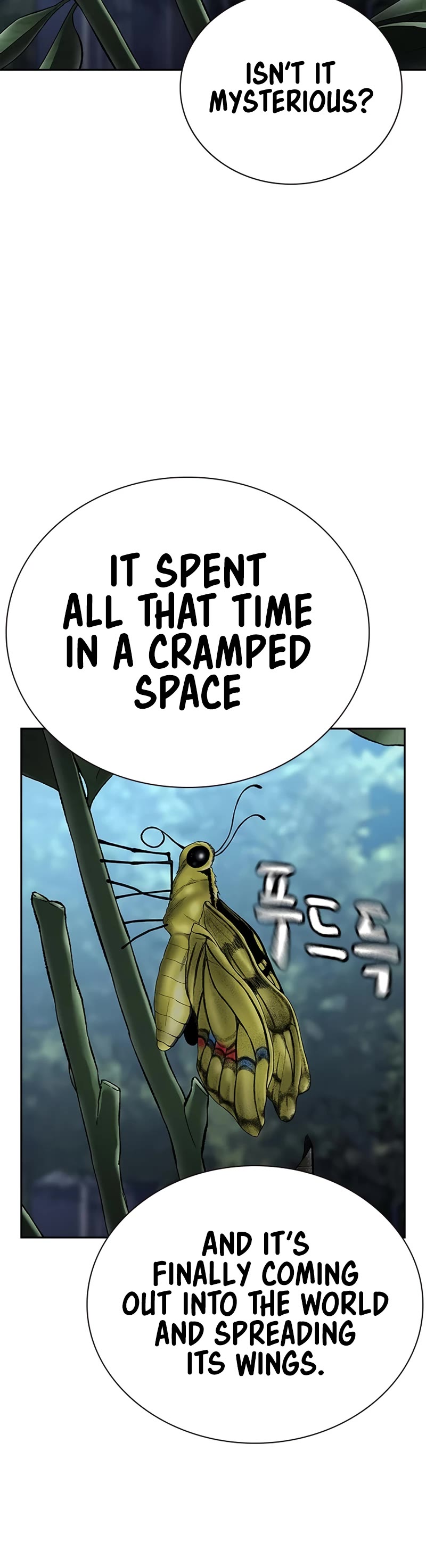To Not Die Chapter 110 page 40 - Chapter 110