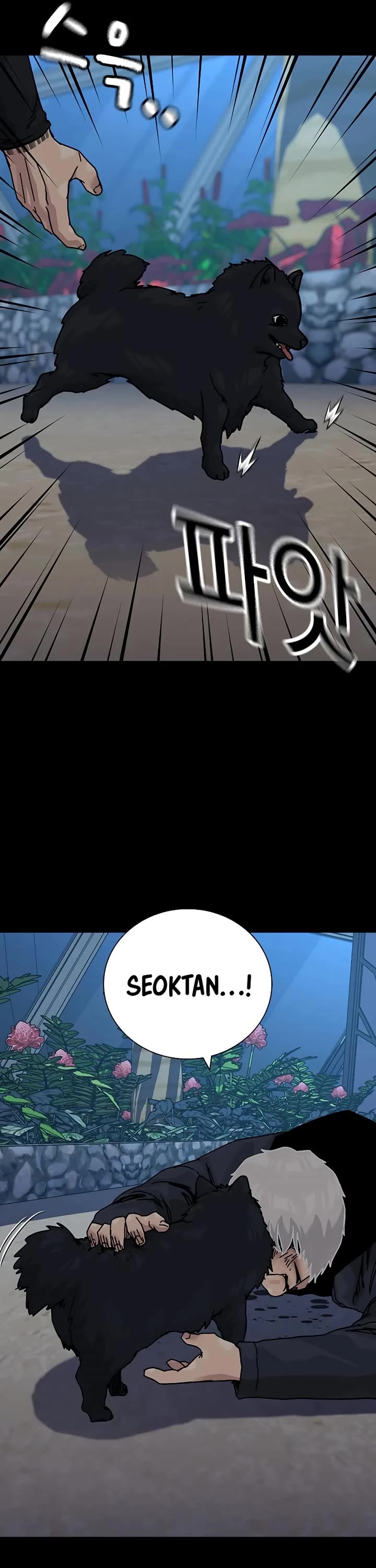 To Not Die Chapter 214 page 19 - Chapter 214