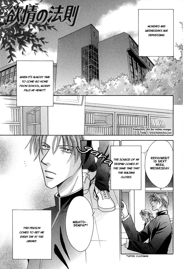 Toiki ni Furete Chapter 3 page 5 - Chapter 3: Fragments of Happiness 3
